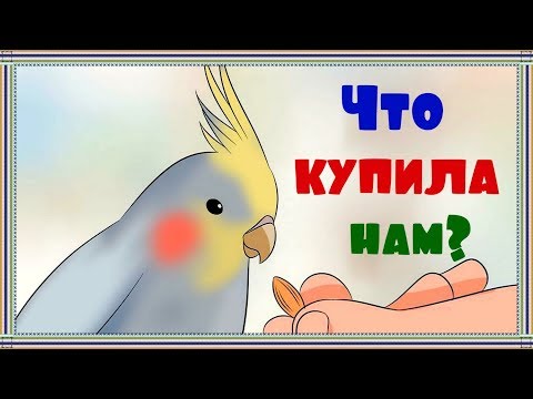 Видео: ЗООПОКУПКИ  для попугаев.