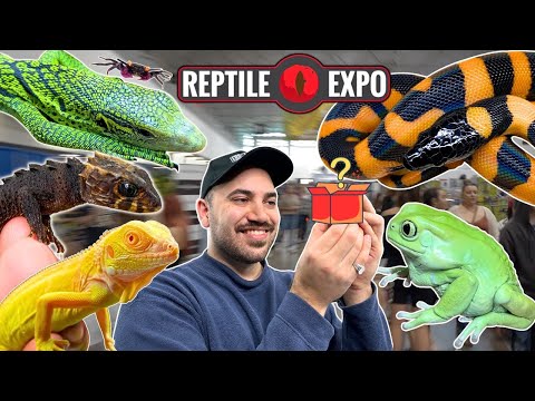 Видео: Я купил двух очень редких питомцев на выставке канадских заводчиков рептилий 2025
