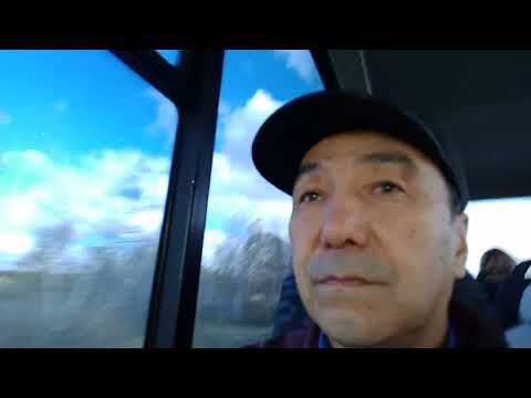 Видео: 4 октября 2025 г.
