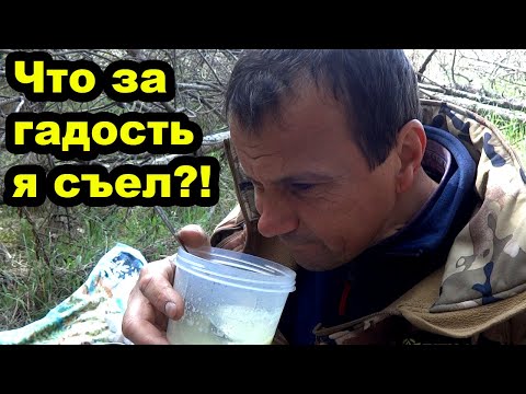 Видео: Весенние покатушки на мопеде Дельта. Эндурим по холмам