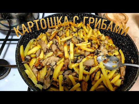 Видео: Как пожарить картошку с грибами вкусно 😋