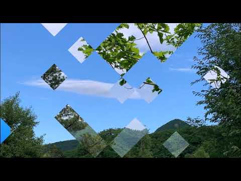 Видео: Лето.  Приморье