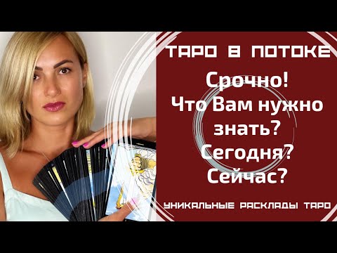 Видео: Срочно! Что мне нужно знать? Сегодня, сейчас! Совет от высших сил для ВАС!
