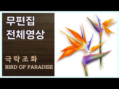 Видео: [Полное видео] Рисование таинственного цветка райской птицы