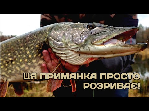 Видео: Попав на Роздачу Жирних Щук. Цю Приманку Розривають! Жор в Листопаді.