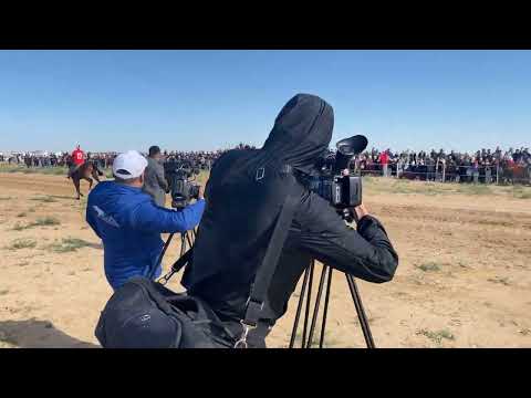 Видео: Бәйге Шебір ауылы 15.05.2022