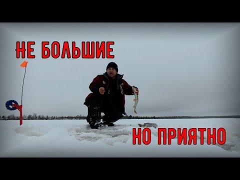 Видео: Первые мои щуки в зимнем сезоне. Ставлю жерлицы.