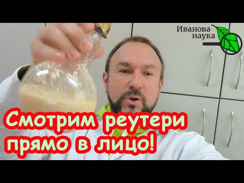 Видео: ДЕРЗКИЙ ОБМАН БЛОГЕРОВ: йогурт РЕУТЕРИ под микроскопом. Как выглядит настоящий реутери йогурт.