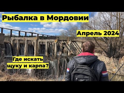 Видео: Весенняя Рыбалка в Мордовии: В поисках ЩУКИ и КАРПА в Апреле