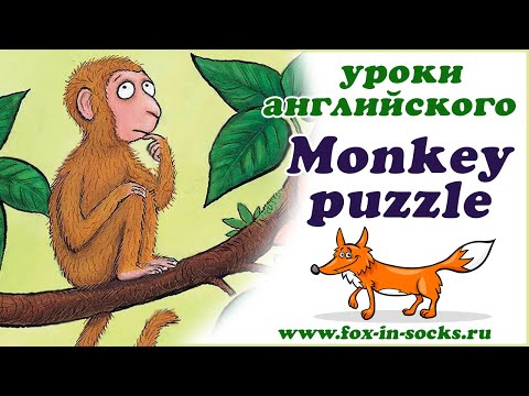 Видео: Английский для детей | fox-in-socks.ru