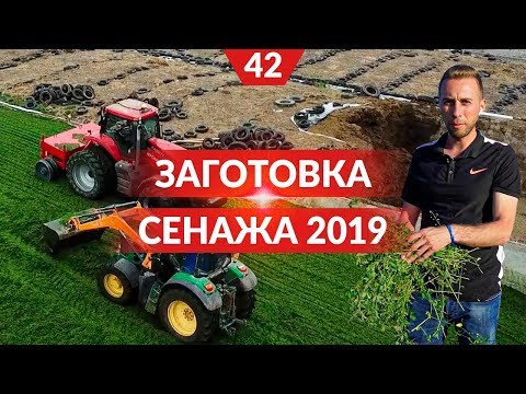 Видео: Уборка люцерны на сенаж. Весь процесс, техника, логистика и консервация