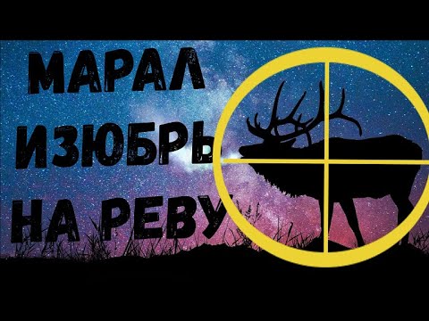 Видео: ОХОТА на РЕВУ во время ГОНА!!!   МАРАЛ/ИЗЮБРЬ!!!