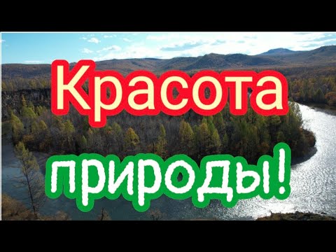 Видео: Золотая пора !На Джиде реке рыбалка!