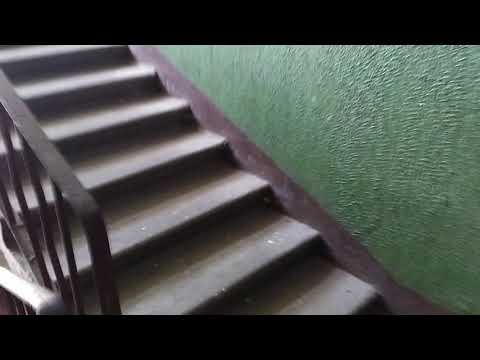 Видео: Лифт МЛМ 2008 г.в. по адресу: Пр-т Московский 76