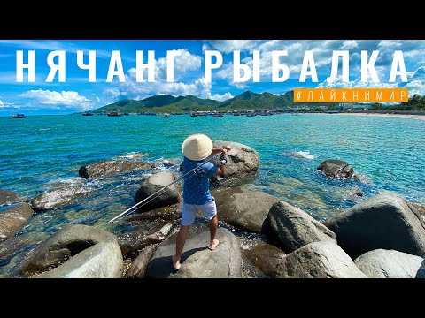 Видео: Вьетнам. НА РЫБАЛКУ В НЯЧАНГЕ! Как ловить рыбу во Вьетнаме? Добываем себе еду ! Вьетнам 2022