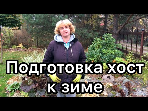 Видео: Как подготовить хосты к зиме