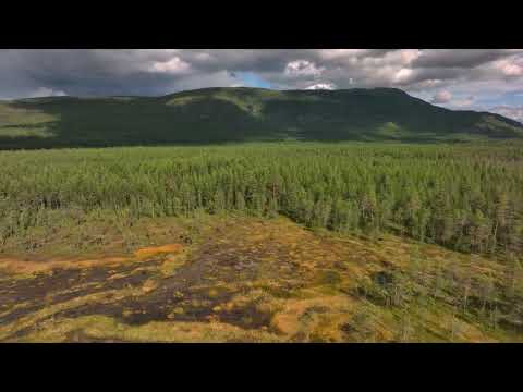 Видео: Горка Лосиная