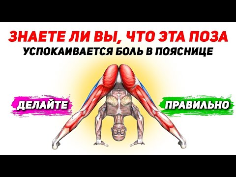 Видео: ВАЖНОЕ РАБОТА ДЛЯ ПОЯСНИЦЫ, КРЕСТЦА И ТАЗА / ЭТО НАШ ЦЕНТР ОТ КОТОРОГО МНОГО ЗАВИСИТ