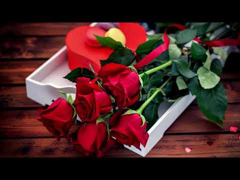 Видео: "Вот бы взять и стать везучим!" слова и музыка С. Трофимова, исполняет Ольга Чмханова