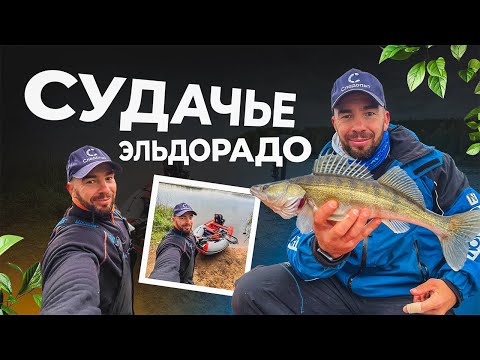 Видео: Вот это ПОКЛЕВКИ!!! Столько судаков я еще не ловил! Ловля судака на спиннинг с лодки на Чигиринке