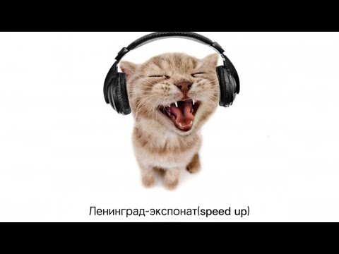 Видео: Ленинград—экспонат(speed up)