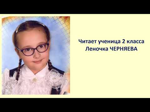 Видео: Даниил Хармс.  Стихи для детей