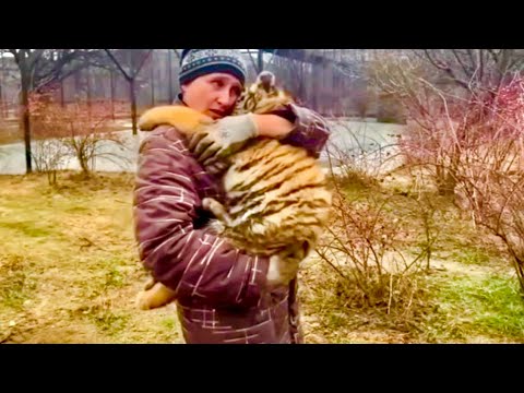 Видео: Ляля навсегда останется в наших сердцах, а врагам не удастся сломить Тайган!