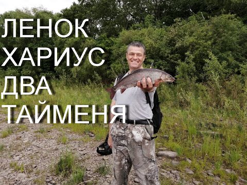 Видео: Амурская рыбалка 28.На р.Бурея поймали ленка, много хариуса и ... ДВА ТАЙМЕНЯ.