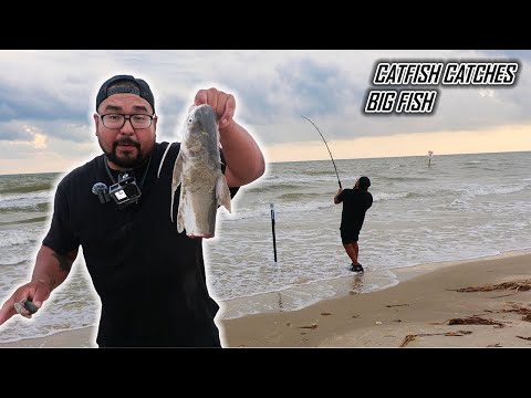 Видео: Вот почему вам следует использовать сома в качестве наживки! Ловля рыбы с берега