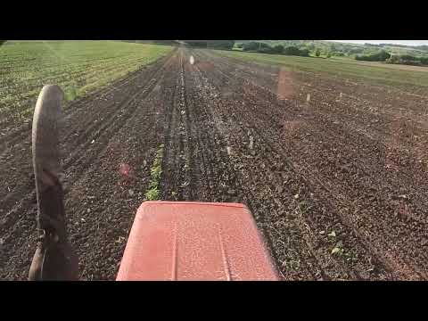 Видео: Прополка гарбузів трактором т-25