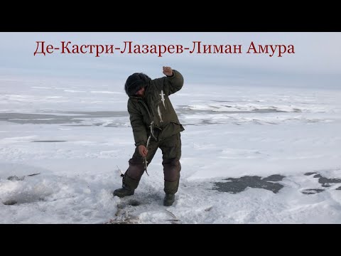 Видео: За зубарем Де-Кастри -Лазарев- Лиман Амура
