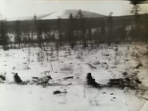 Видео: Вперед на Беркакит