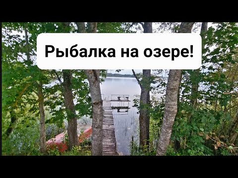 Видео: Рыбалка на озере! Результат в конце