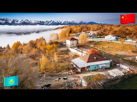 Видео: Как живут Уйгуры на Границе Казахстана и Китая?