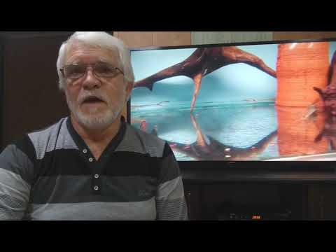 Видео: Стурисома и дискусы