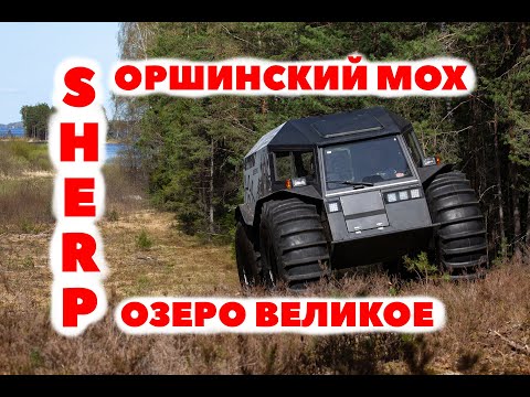 Видео: На Шерпе через Оршинский мох. Дошли до озера Великое.