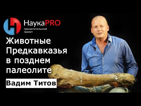 Видео: Фаунистическое окружение древних людей в позднем палеолите Предкавказья – Вадим Титов | Научпоп
