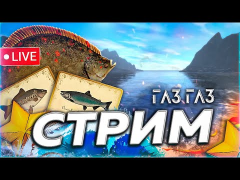 Видео: 🍁 РЫБА ГАЗ-ГАЗ 🍂 МЕДНОЕ ФАРМ/ТРОФ ОСЕТР ТУНГА ЧАВЫЧА ЖДАТЬ ОБЕЗЬЯНКА МОРЕ Русская Рыбалка 3aekkk РР4