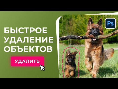 Видео: Как УДАЛИТЬ ЛИШНИЕ ОБЪЕКТЫ с фотографии в Фотошоп. 3 лучших способа