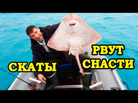 Видео: СКАТЫ  ПРОДОЛЖАЮТ РВАТЬ И ПУТАТЬ МОИ СНАСТИ!!!