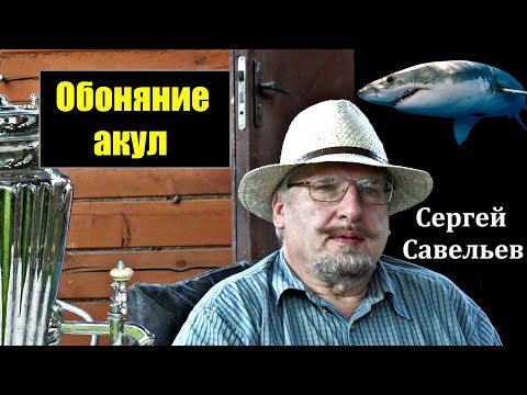 Видео: С.В. Савельев об обо­нянии акул