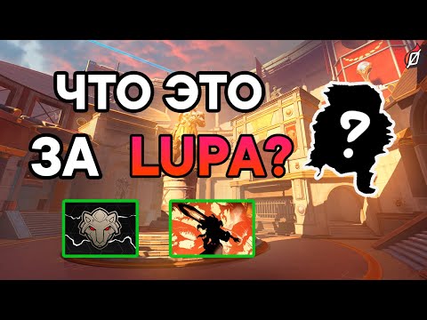 Видео: 🐺 Новый 45-й герой Overwatch: что мы знаем о Волчице??
