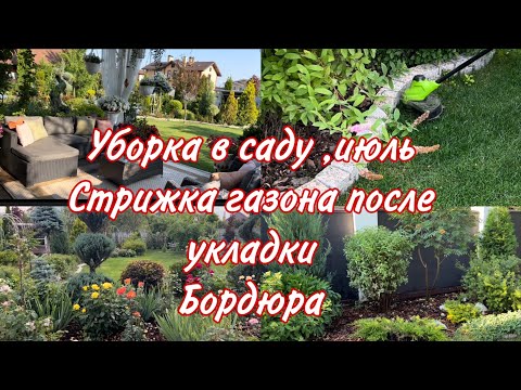 Видео: Стрижка газона после укладки бордюра , уборка в саду