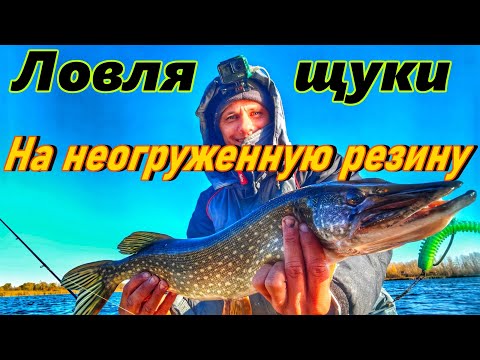 Видео: ЛОВЛЯ ЩУКИ НА НЕОГРУЖЕННУЮ РЕЗИНУ/ РЫБАЛКА НА СИЛИКОН/ ЩУКА НА СПИННИНГ/ ОСЕННЯЯ РЫБАЛКА/РЕКА САМАРА