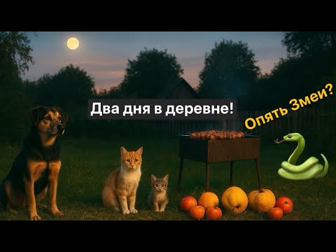 Видео: Два дня в Деревне | Фрукты, Шашлыки и Змеи? 🐍🐍