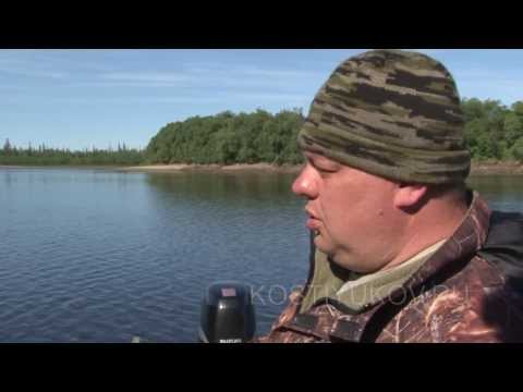 Видео: Рыбалка на севере  Окуни гиганты