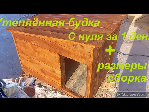 Видео: КАК СДЕЛАТЬ ТЁПЛУЮ БУДКУ ДЛЯ СОБАКИ!? ЛЕГКО!