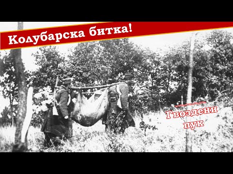 Видео: Колубарска битка - десет ствари које треба знати о њој