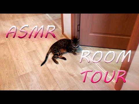 Видео: АСМР lofi рум тур