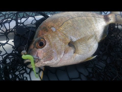 Видео: Rockfishing в Немецкой балке 03.06.2017г.